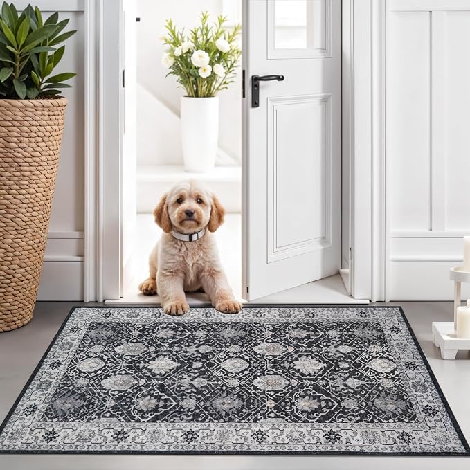 Washable 2x3 Entryway Area Rug: Vintage Soft Thin Door Mat