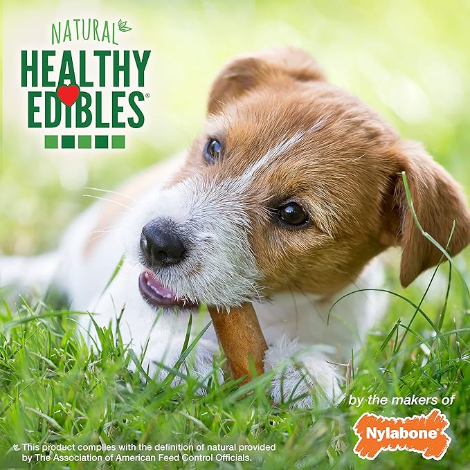 Nylabone Healthy Edibles Natural Dog Chews Long Lasting Bacon Flavor Treats for Dogs, Small/Regular (12 Count)