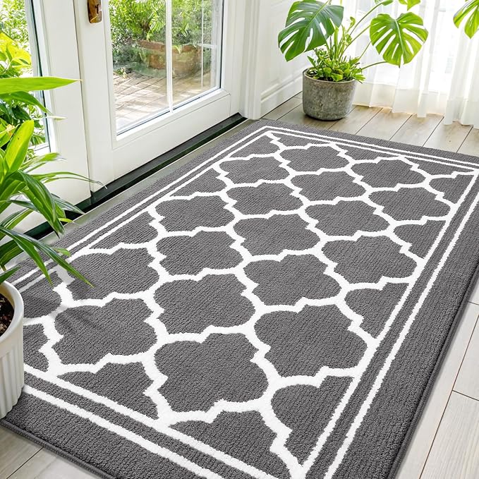 Buganda Large Indoor Door Mat, Dirt-Resistant and Absorbent Doormat, Low