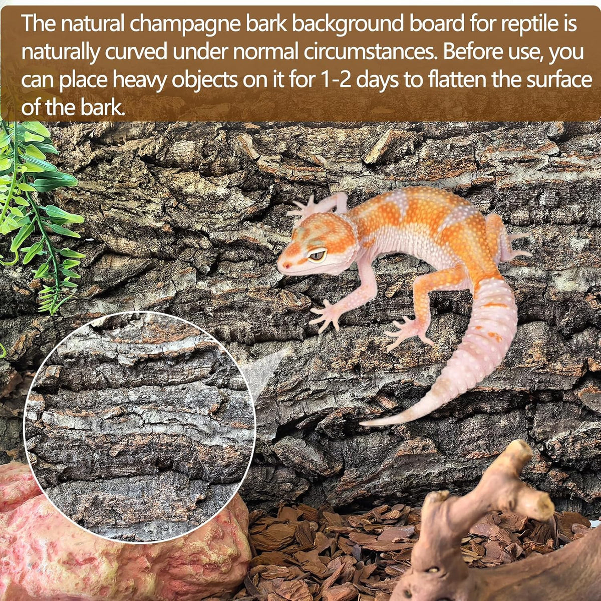 Cork Terrarium Background 11.8x7.9in 8PCS Natural Reptile Cork Bark Flats Terrarium Board Bearded Dragon Climbing Wall Mat Tank Accessories Decor for Lizard Chamelon Snake Turtle Spider Crested Gecko