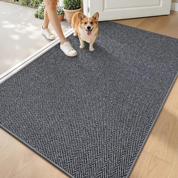 LUMI Ultra Thin Indoor Door Mat