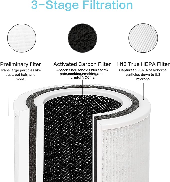 Flintar TPAP001 H13 Replacement Filter, Compatible