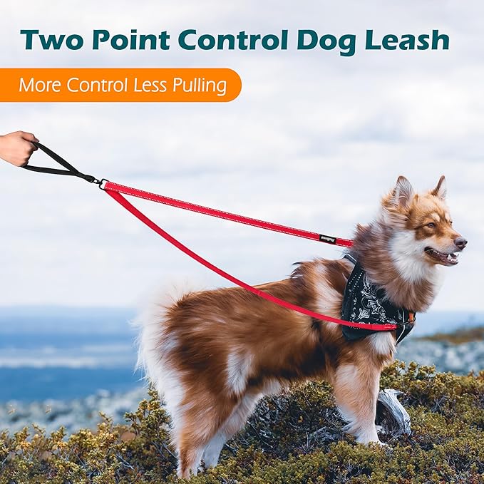 PetBonus Two Point Control Dog Leash, Works with No Pull Harnesses, No Tangle Training Leashes, Soft Padded and Reflective Walking Lead, Converts to Single Lead for Medium Large Dogs (Red)