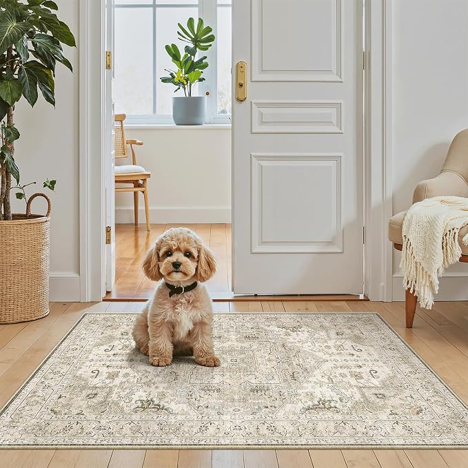 Madane Washable Area Rug 2x3, Small Entryway Rug Non-Slip Vintage Door Mat