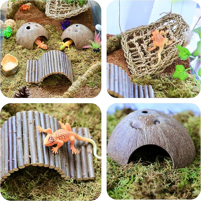 Hermit Crab Accessories – 6PCS Natural Hermit Crab Toys Climbing Bridge, Shells, Coconut Hideout, Moss and Plants for Hermit Crabs Habitat & Reptile Tank Decor