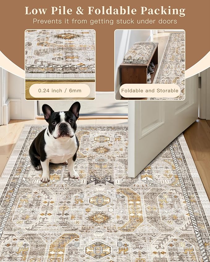 Madane Area Rug 3x5, Washable Entryway Rugs Printed Vintage Rugs