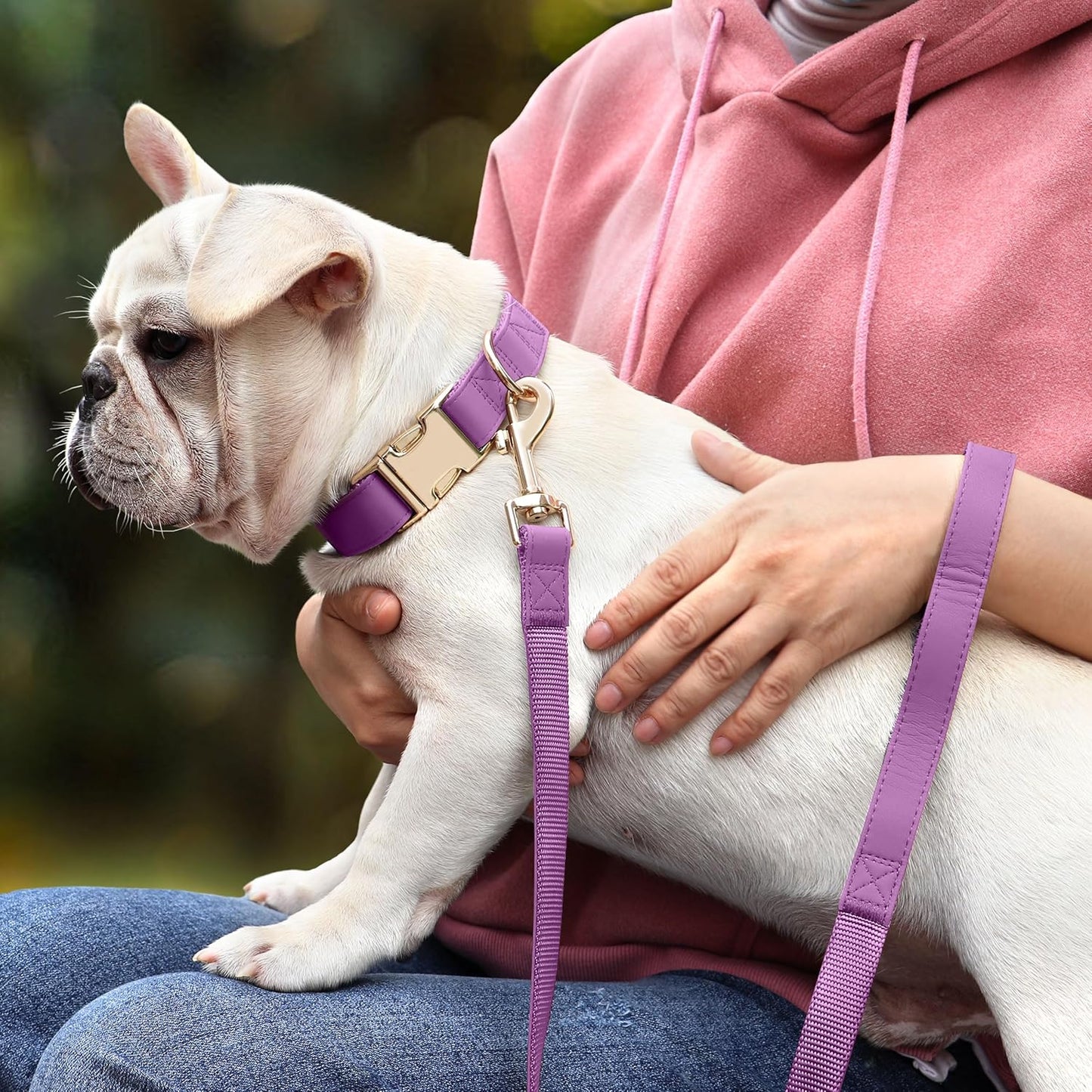 PET ARTIST PU Leather Dog Collar, Bright & Stylish Purple Dog Collar Girl with Quick Release Gold Metal Buckle, Soft Nylon Padded Durable Pet Collars Adjustable for Small Dogs, Neck Fit 9-14"