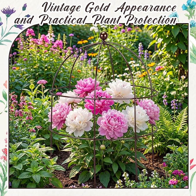BreezeHug 3 Pack 24 H Peony Cage Climbing Plant Trellis Bird Cage Plant Support Through Flower Support for Perennial Flowers, Vintage Gold