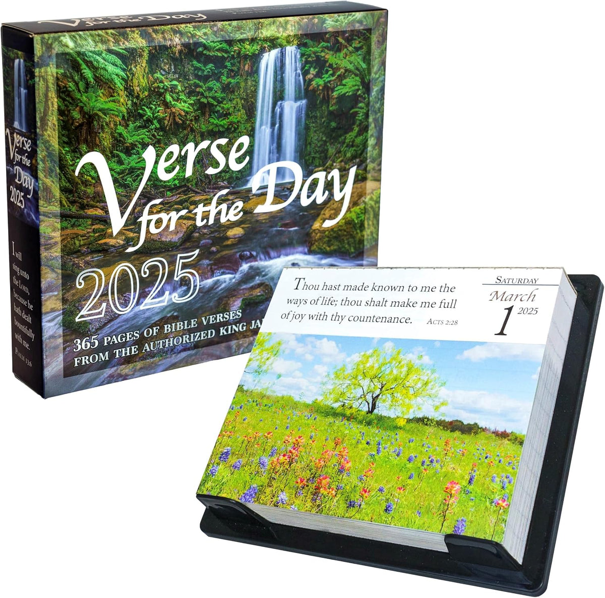 Verse for the Day Calendar 2025 - Daily Bible Calendar with KJV Scripture - 365 Pages