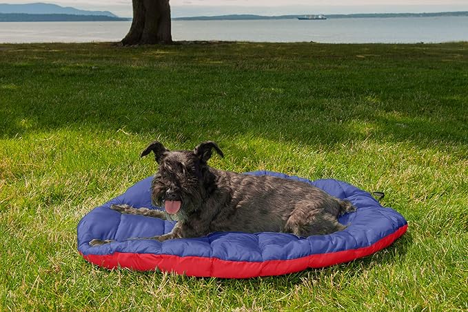 Furhaven Outdoor Travel Dog Bed for Small Dogs w/ Carry Bag, Washable & Foldable, Great for Crates & Kennels - Trail Pup Travel Pillow Mat w/ Stuff Sack Bag - Flame Red/True Blue, Small