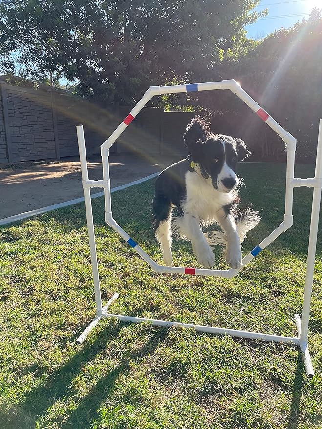 Dog Agility Equipment Deluxe Beginner Set, 3 Bar Jumps, 6 Weave Poles,1 Octagon Hoop Jump Agility Course for Dogs