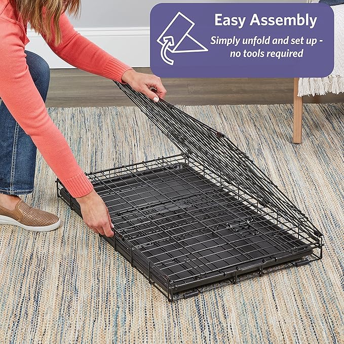 MidWest Homes for Pets 24-Inch iCrate for Small Breeds, 12-20 lbs, Single Door Folding Dog Crate with Divider Panel, Leak-Proof Tray & Secure Latch, Portable, Durable & Easy to Assemble