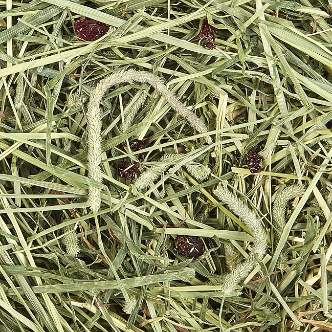 Kaytee All Natural Timothy Hay Plus Cranberries for Guinea Pigs, Rabbits & Other Small Animals, 24 Ounce (Pack of 2)