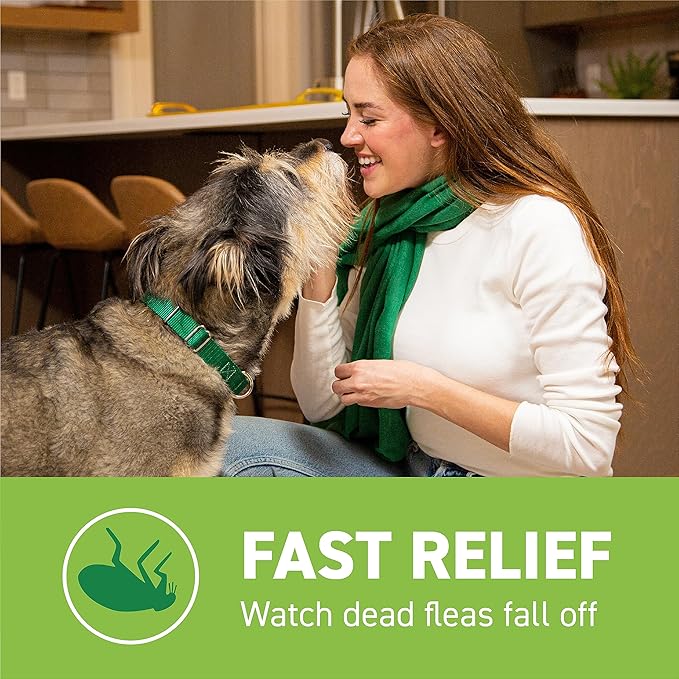 Capstar for Dogs (nitenpyram), Fast-Acting Oral Flea Treatment for Dogs Over 25+ lbs, Vet-Recommended Flea Medication Tablets Start Killing in 30 Minutes, 12 Doses (Includes Two 6-Count Boxes)