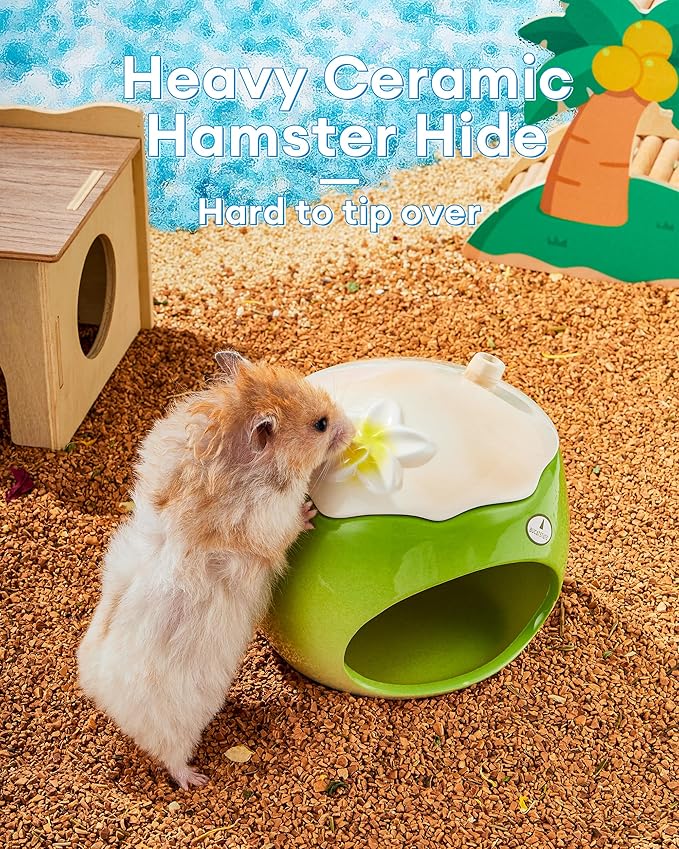 BUCATSTATE Coconut Shape Ceramic Hamster Hideout with Removable Lid & Ice Compartment - All-Season Cool Bed for Dwarf Hamster, Gerbil, Mice, Golden Bear - Large Green Small Pet House Habitat