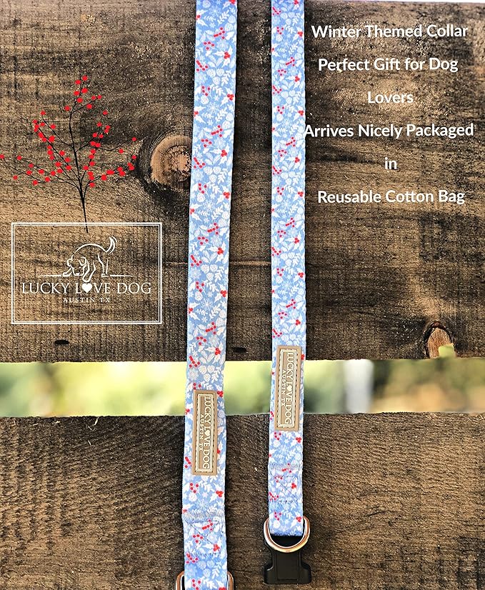 Lucky Love Dog Dog Collar, Leash Set Small, Premium, Cute and Adjustable Collars for Male and Female Dogs, Winterblue Combo, Extra Small