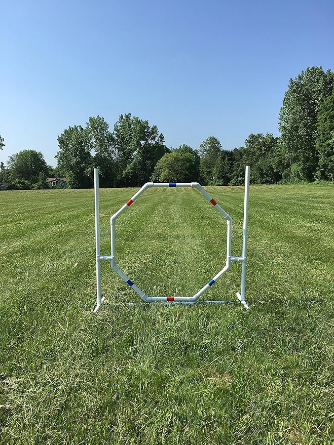 Dog Agility Equipment Deluxe Beginner Set, 3 Bar Jumps, 6 Weave Poles,1 Octagon Hoop Jump Agility Course for Dogs