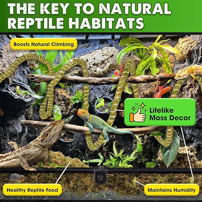 Duspro Reptile Decor Set Including 10FT Reptile Vine Climbing Bendable Branch & 04 OZ Natural Dried Forest Moss Bag Ideal for Bearded Dragon Chameleon Snake Gecko Lizard Terrarium Tank Accessories